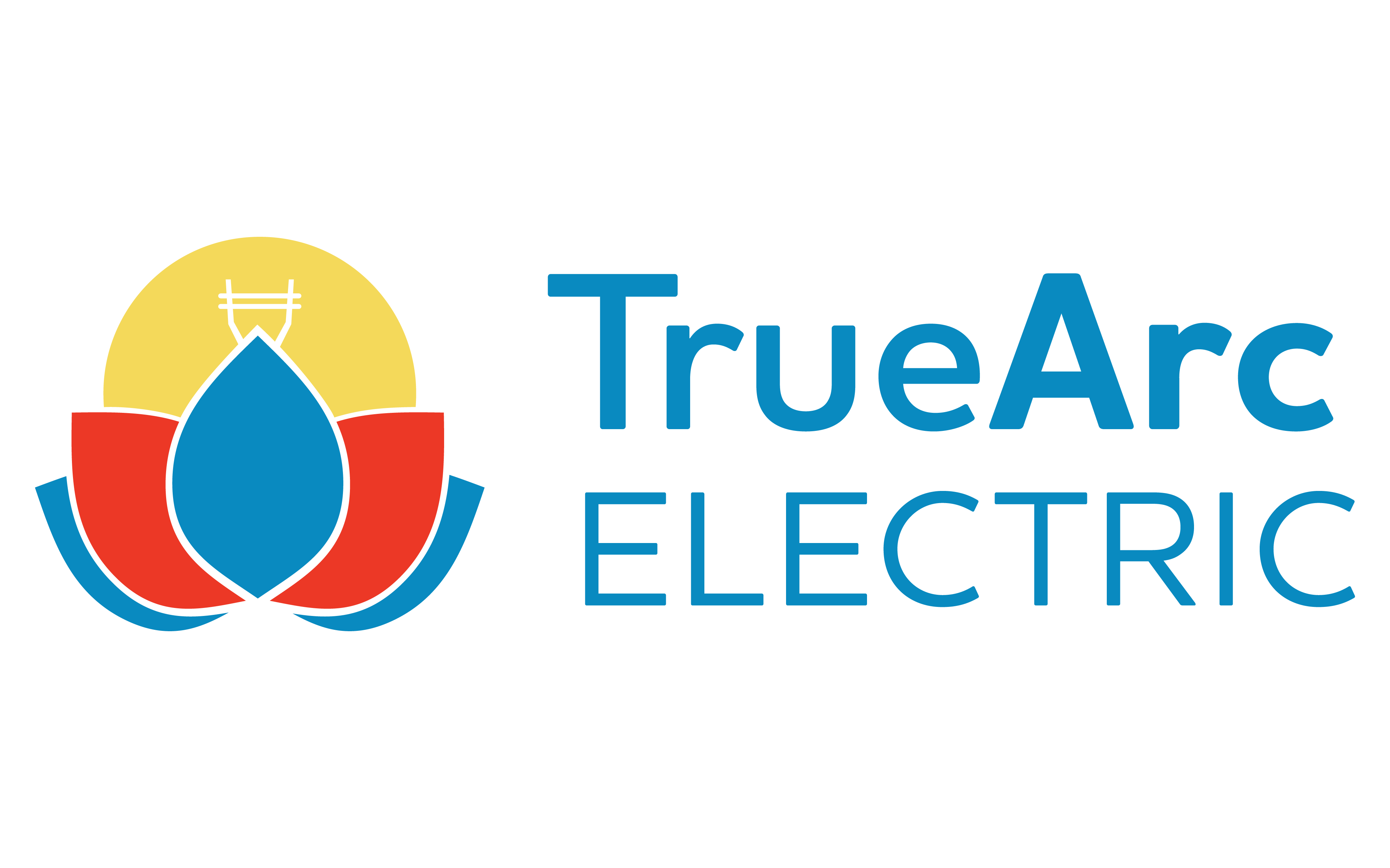 True Arc Electric